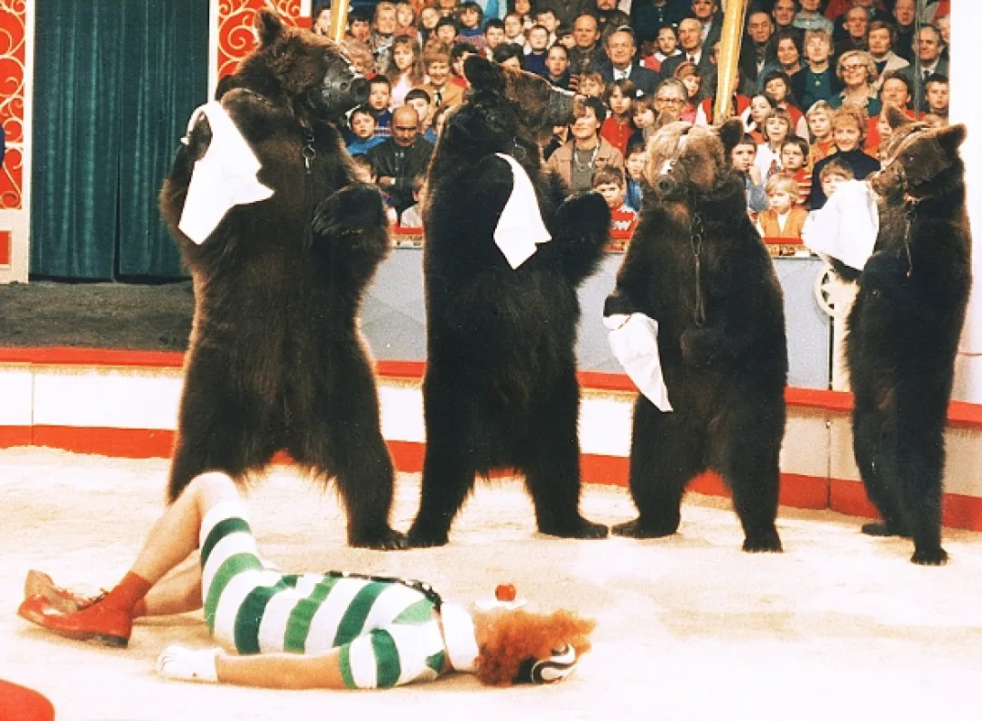 Šest medvědů s Cibulkou (Six Bears And A Clown), 1972 - fotogaléria
