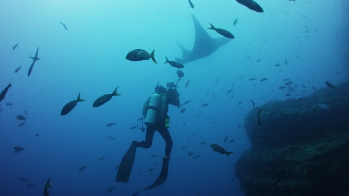 V říši manty obrovské (Alien Contact: The Other Worldly Intelligence of Giant Manta Rays), 2023 - fotogaléria