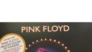 Pink Floyd - Delicate Sound of Thunder