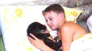 Vydrýsek