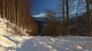Lysá hora