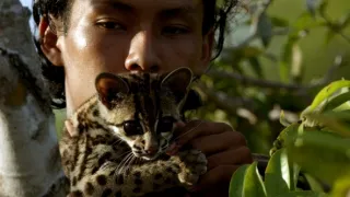 Ocelot a já