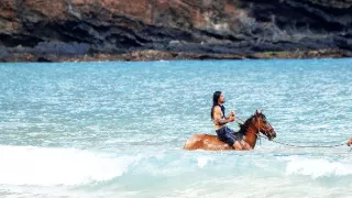 Markézy, k pramenům Polynésie