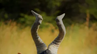 Na cestě po jihoafrickém Gautengu