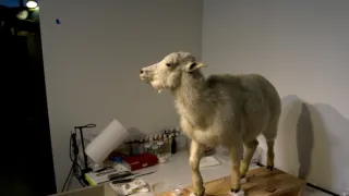 Tajomstvá svetových múzeí II (3)