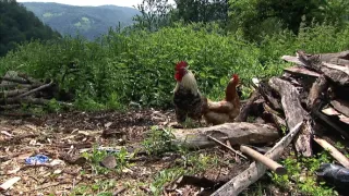 Goran a Sladjana - naše cesta do školy