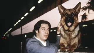 Rex felügyelő VIII (7)