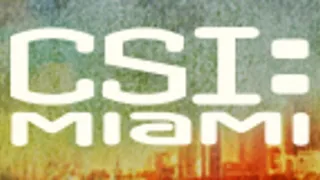 CSI: Miami helyszínelők VII (22)