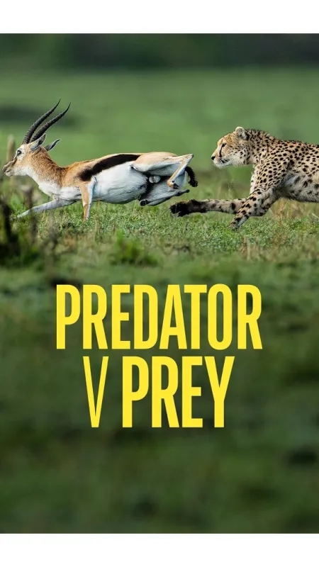 Predátor vs. kořist, 2024 - fotogaléria