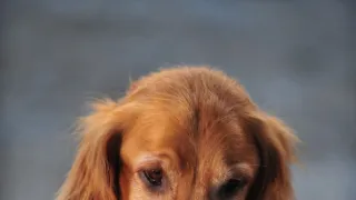 Jesse Stone: Bez výčitek