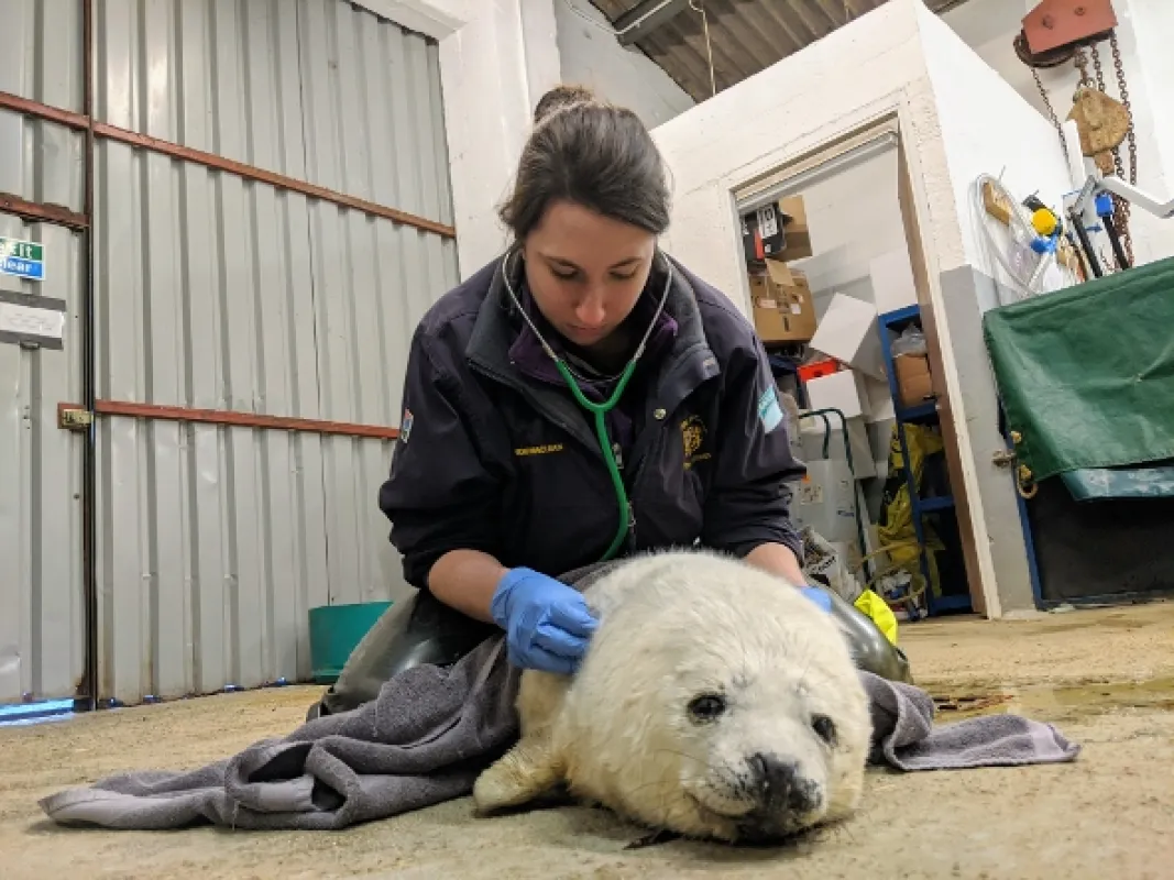 Veterinář z vysočiny (The Highland Vet), 2020 - fotogaléria