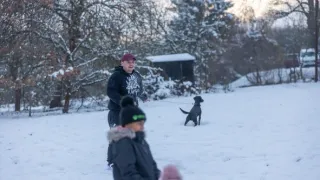 Plné hnízdo v Karlovarském kraji 2