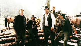 Láska s vůní pryskyřice