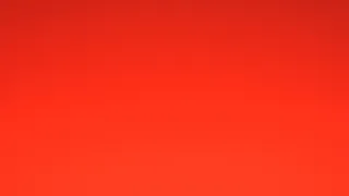 Inkognito (72)
