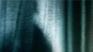 Šílené pouto