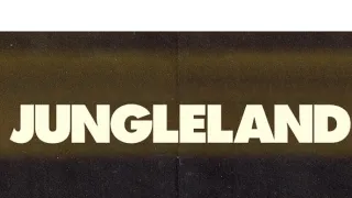 V džungli