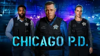 Polícia Chicago VII (3)