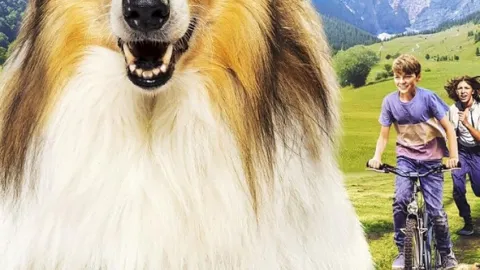 Lassie: Nové dobrodružstvo
