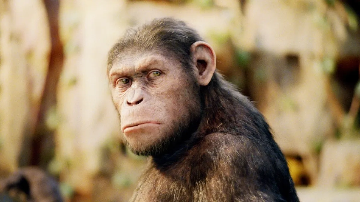 Zrození Planety opic (Rise of the Planet of the Apes), 2011 - fotogaléria