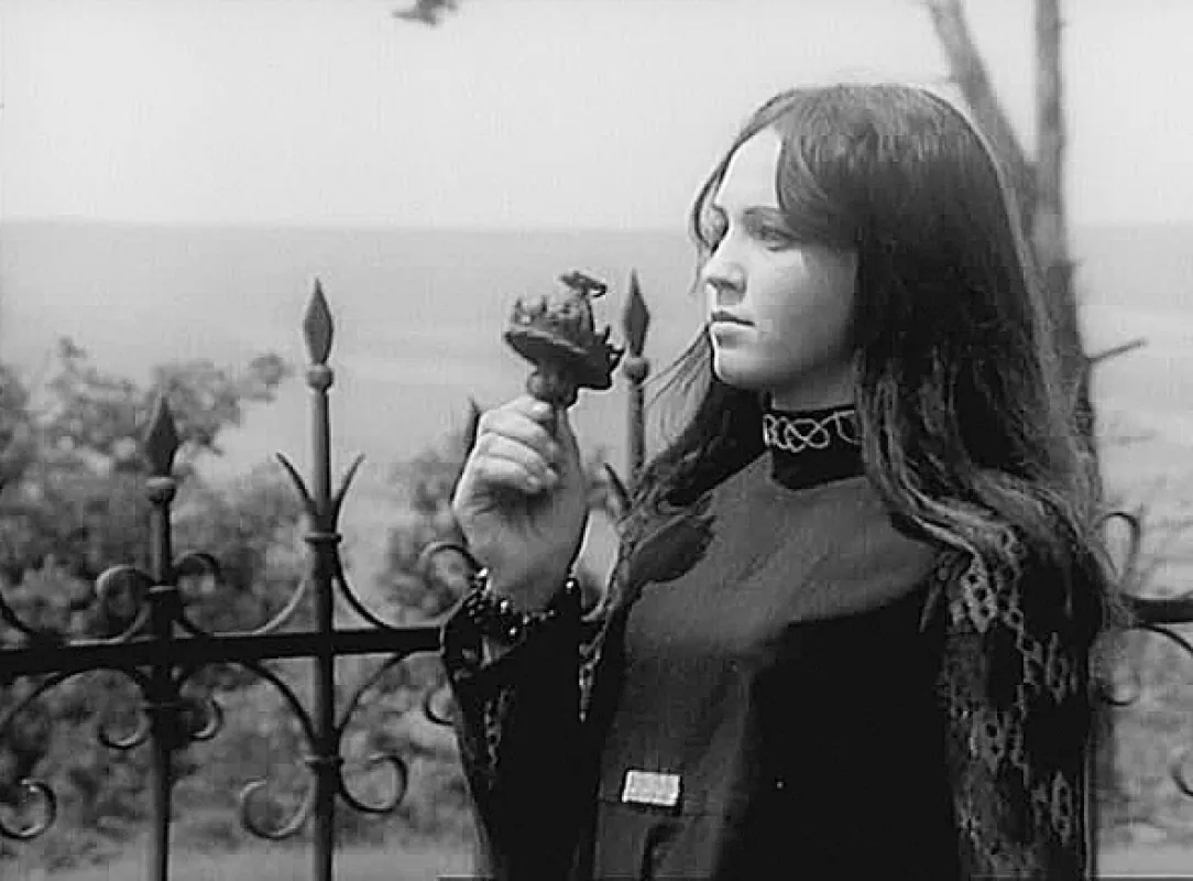 Čas slunce a růží, 1968 - fotogaléria