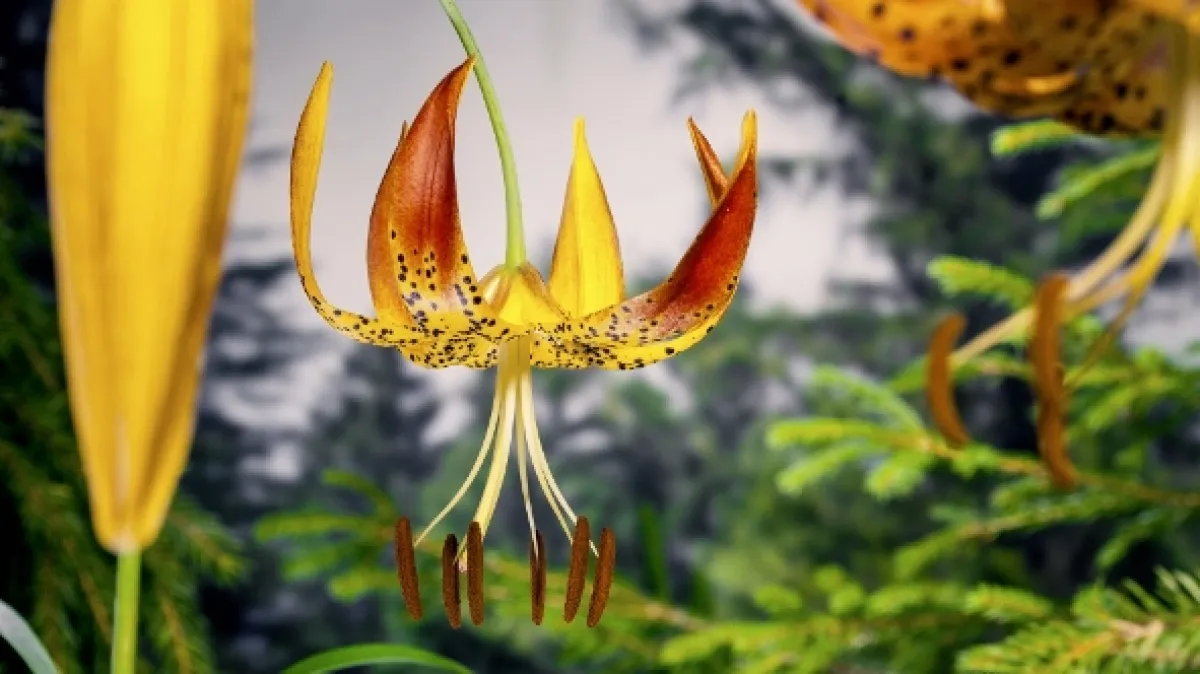 Barvy přírody (Colours of Nature), 2023 - fotogaléria