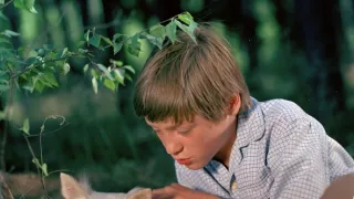 Tajemství proutěného košíku (4/13)