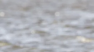 Zázračná planeta: Velké řeky světa