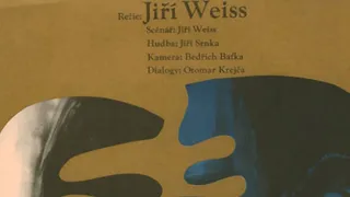 Zlaté kapradí