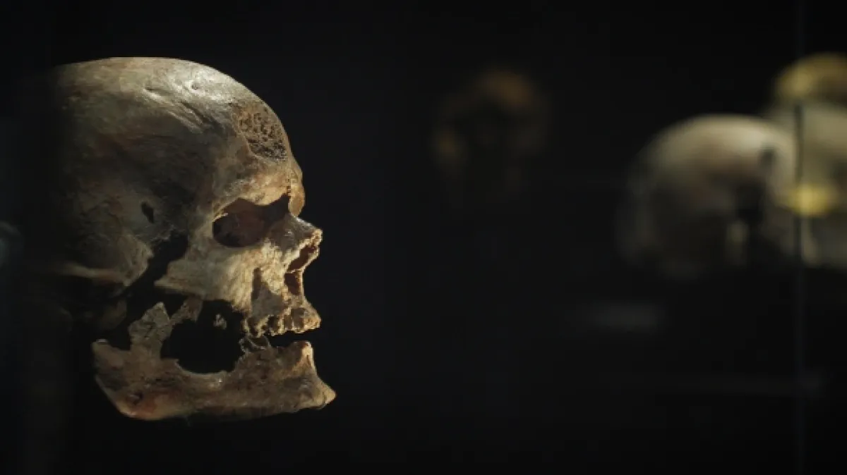 Neandertálci: Kdo má na svědomí naše příbuzné? - fotogaléria