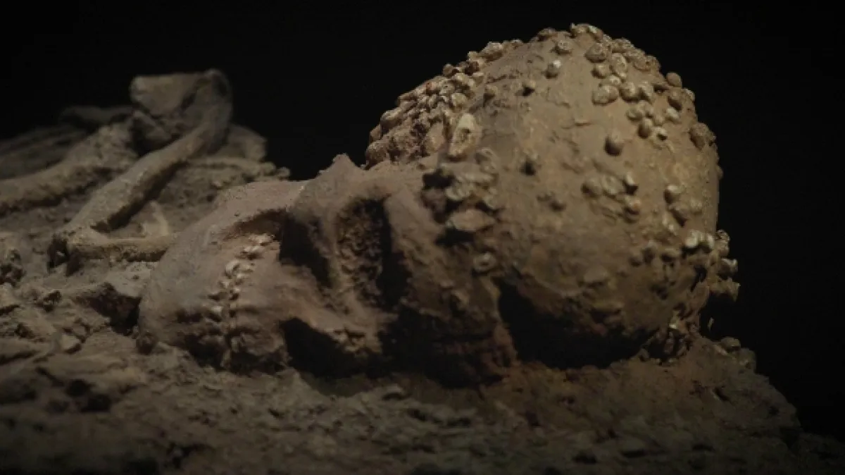 Neandertálci: Kdo má na svědomí naše příbuzné? - fotogaléria