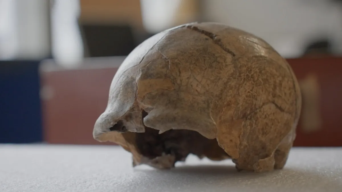 Neandertálci: Kdo má na svědomí naše příbuzné? - fotogaléria