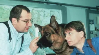 Rex felügyelő VII (15)