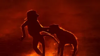 Divoké historky ze savany (3/3)