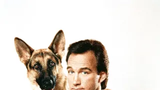 K-9: Soukromý detektiv