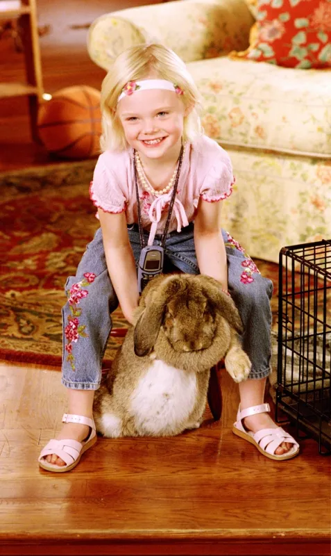 Bláznivá školka (Daddy Day Care), 2003 - fotogaléria
