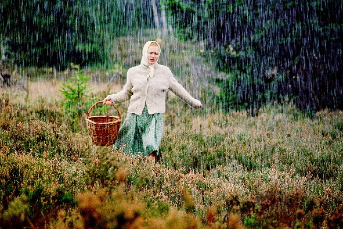 Želary, 2003 - fotogaléria