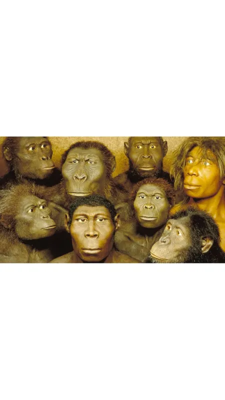 Evropská kolébka: Nový příběh evoluce (Out of Europe), 2019 - fotogaléria