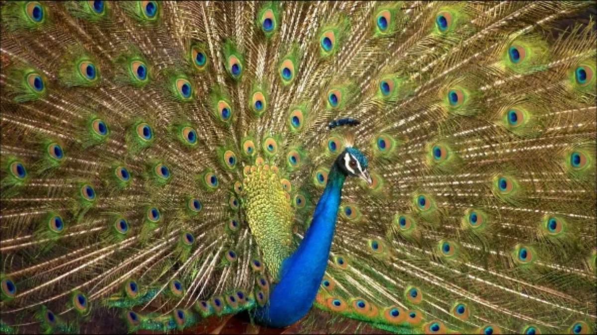 Barvy přírody (Colours of Nature), 2023 - fotogaléria