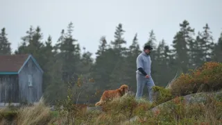 Jesse Stone: Ztracená nevinnost