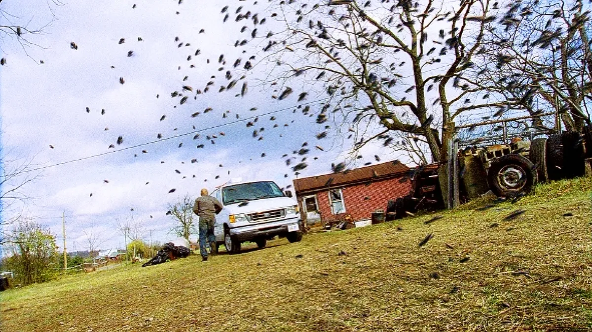 Smrtiaci roj (Swarmed), 2005 - fotogaléria