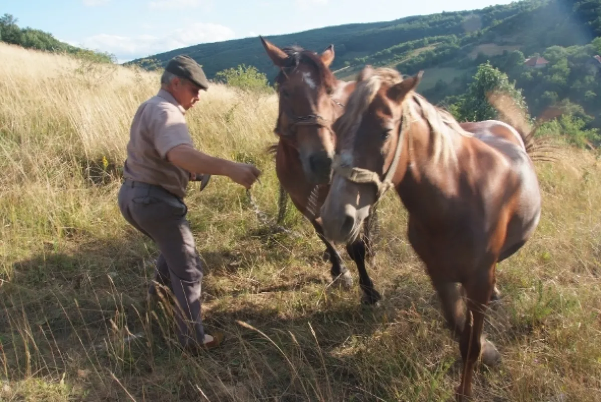 Čechoslováci v gulagu, 2017 - fotogaléria