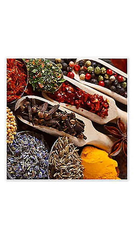 Kouzelný svět koření (The Magical World of Spices), 2023 - fotogaléria