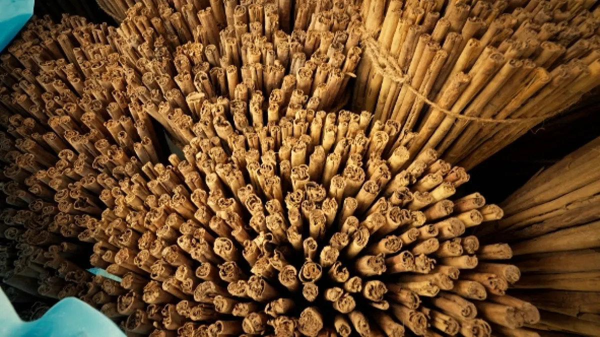 Kouzelný svět koření (The Magical World of Spices), 2023 - fotogaléria
