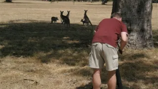 Na cestě po srdci Nového Jižního Walesu