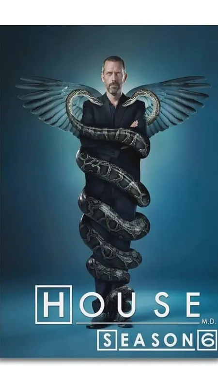 Dr. House (House VI), 2009 - fotogaléria