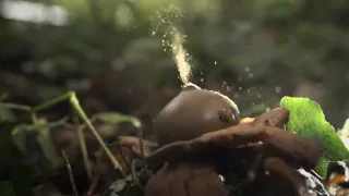 Skrytá příroda vojenských prostorů