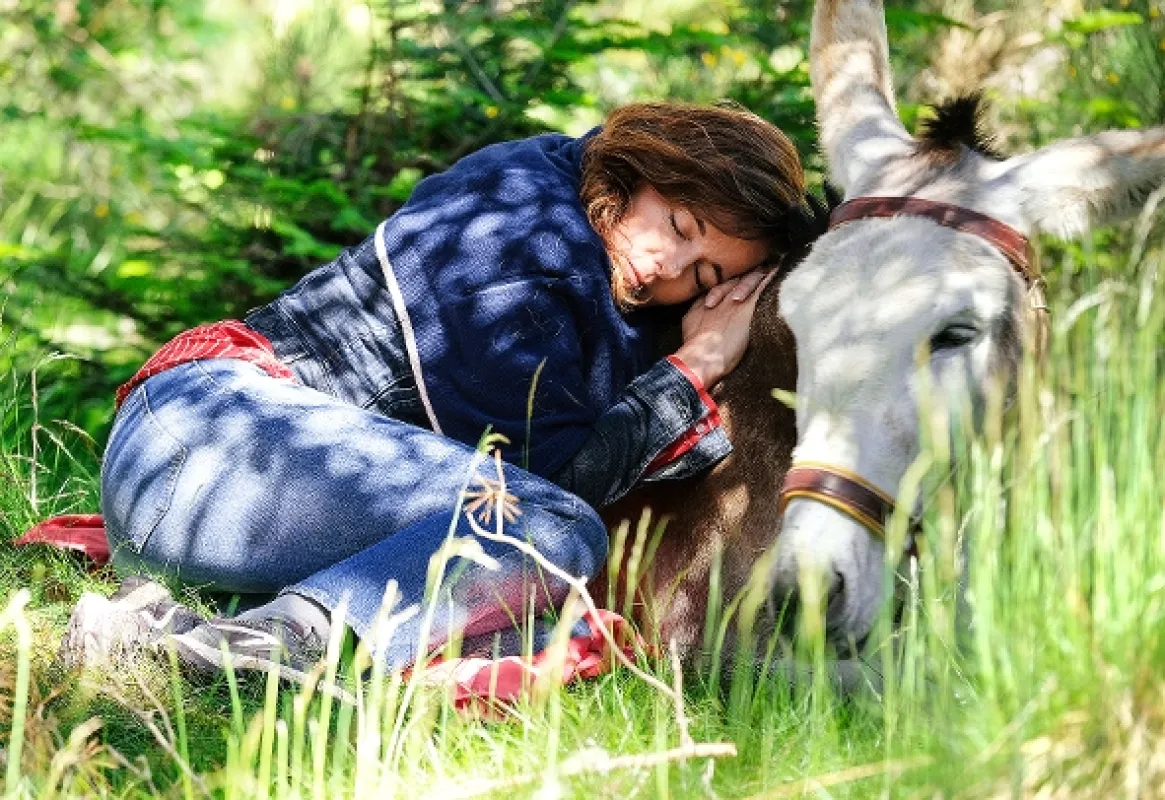 Môj somárik, milenec a ja (My Donkey, My Lover & I), 2020 - fotogaléria