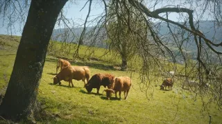 O sítích a křídlech (2)