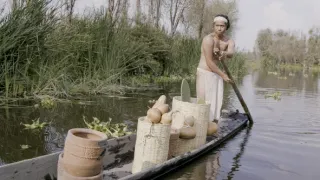 Synové boha Slunce