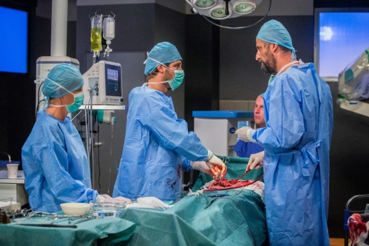 Modrý kód, 2019 - fotogaléria